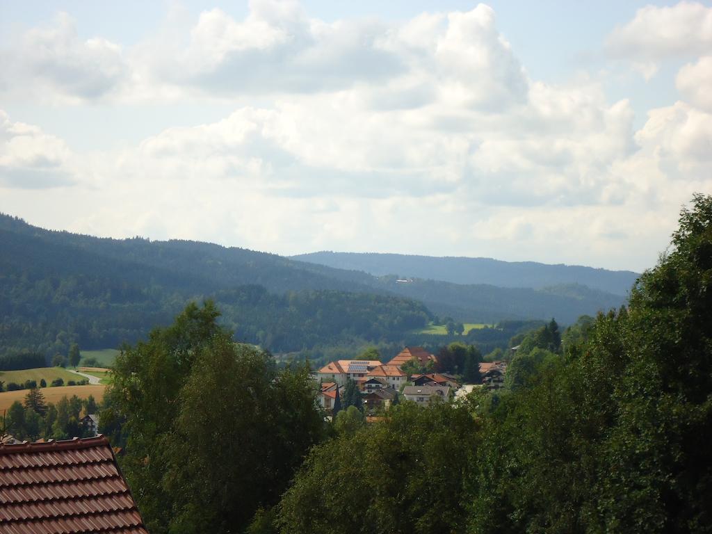 Ferienwohnung Bodenmais Am Silberberg Екстериор снимка